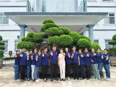 Vind-Viets stærkt lokaliserede arbejdsstyrke: 99 % vietnamesisk lokale talent...